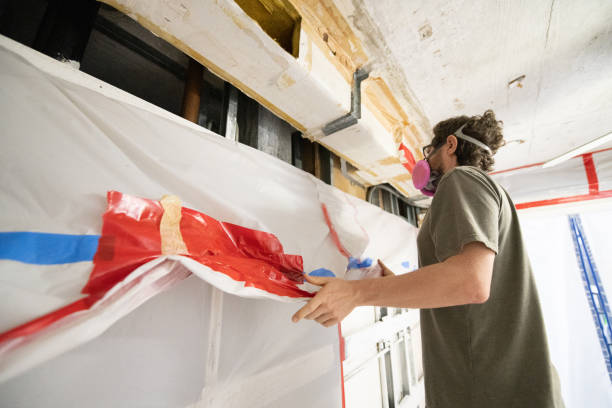Best Industrial Mold Remediation  in Palmdale, CA