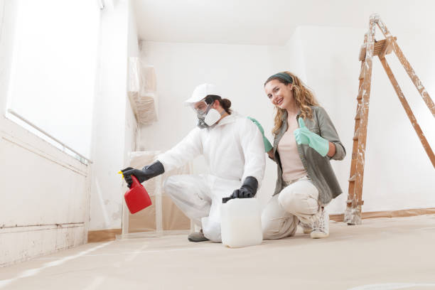 Best Crawl Space Mold Remediation  in Palmdale, CA