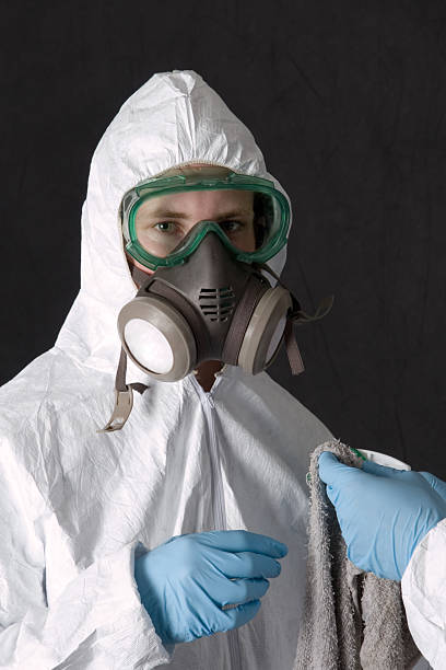 Best Commercial Mold Inspection  in Palmdale, CA